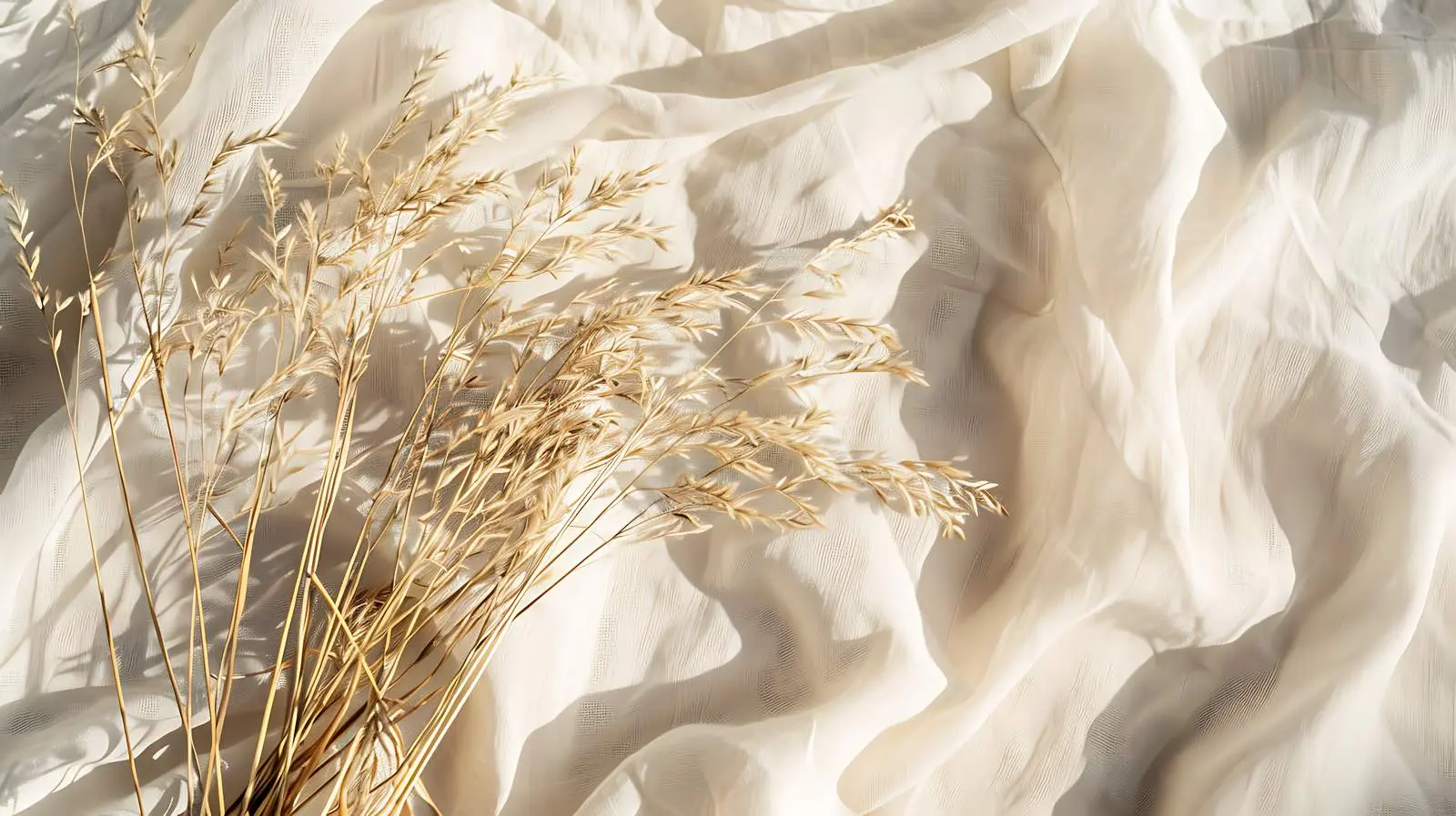 Dried Grass Stalks in Warm Sunlight – free habitat image from Dotvec