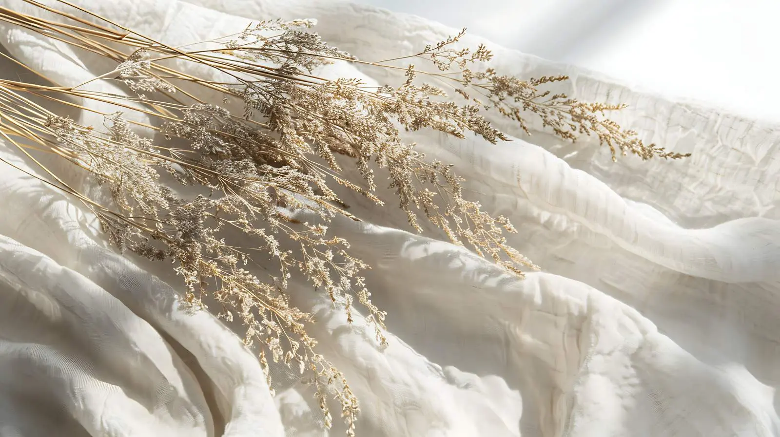 Dried Grass Stalks in Warm Sunlight Shadows — free download from Dotvec