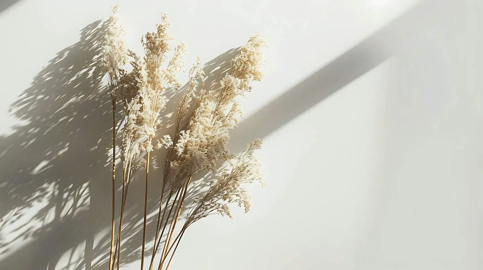 Elegant Dried Grass Stems Bouquet in Sunlight — free download from Dotvec