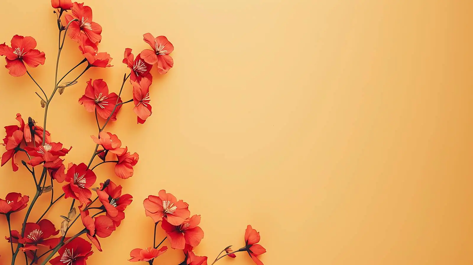 Elegant Red Flower Arrangement with Blank Space – free atmospheric image from Dotvec