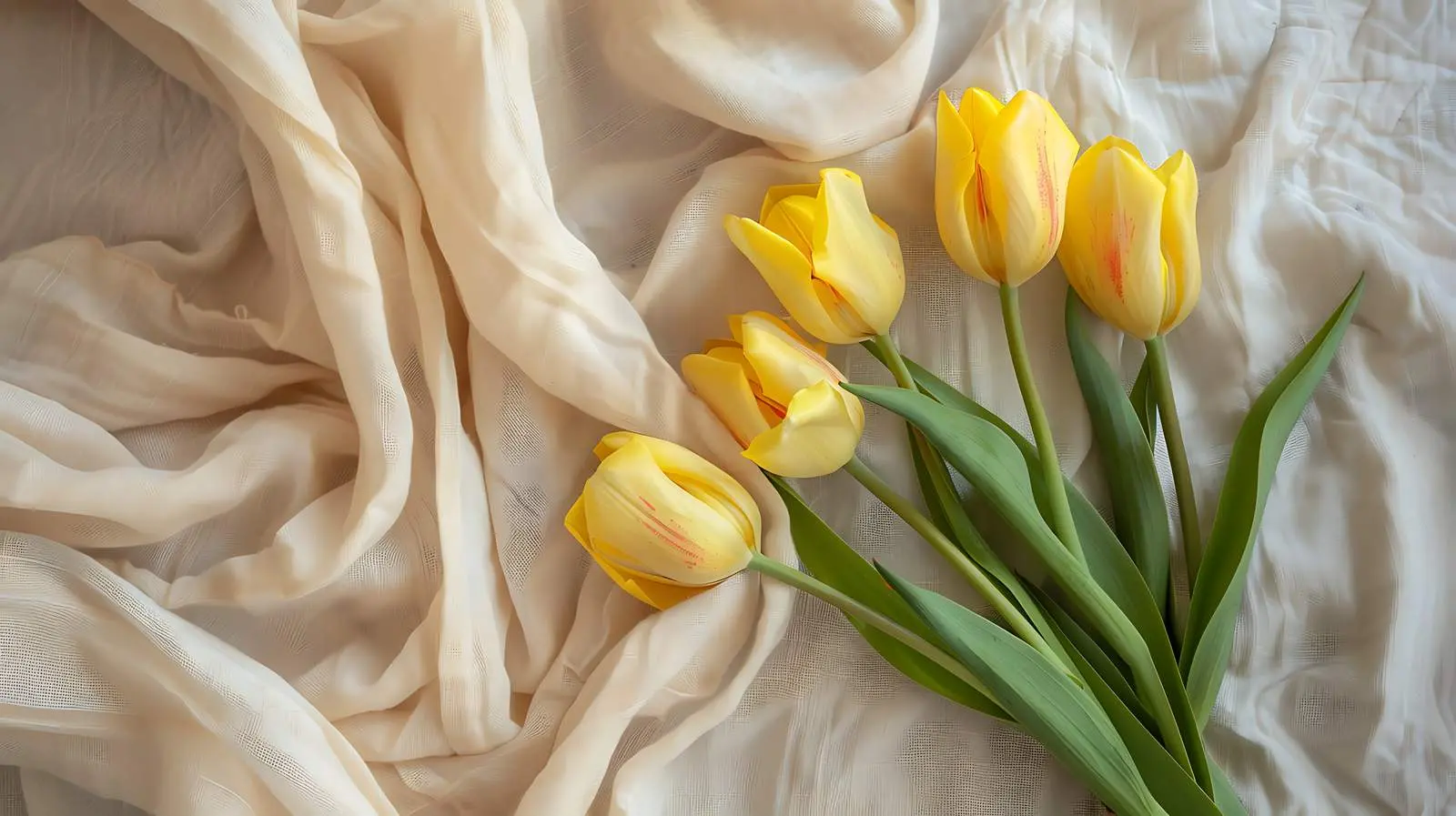 Elegant Yellow Tulip Bouquet on Beige Background — free download from Dotvec