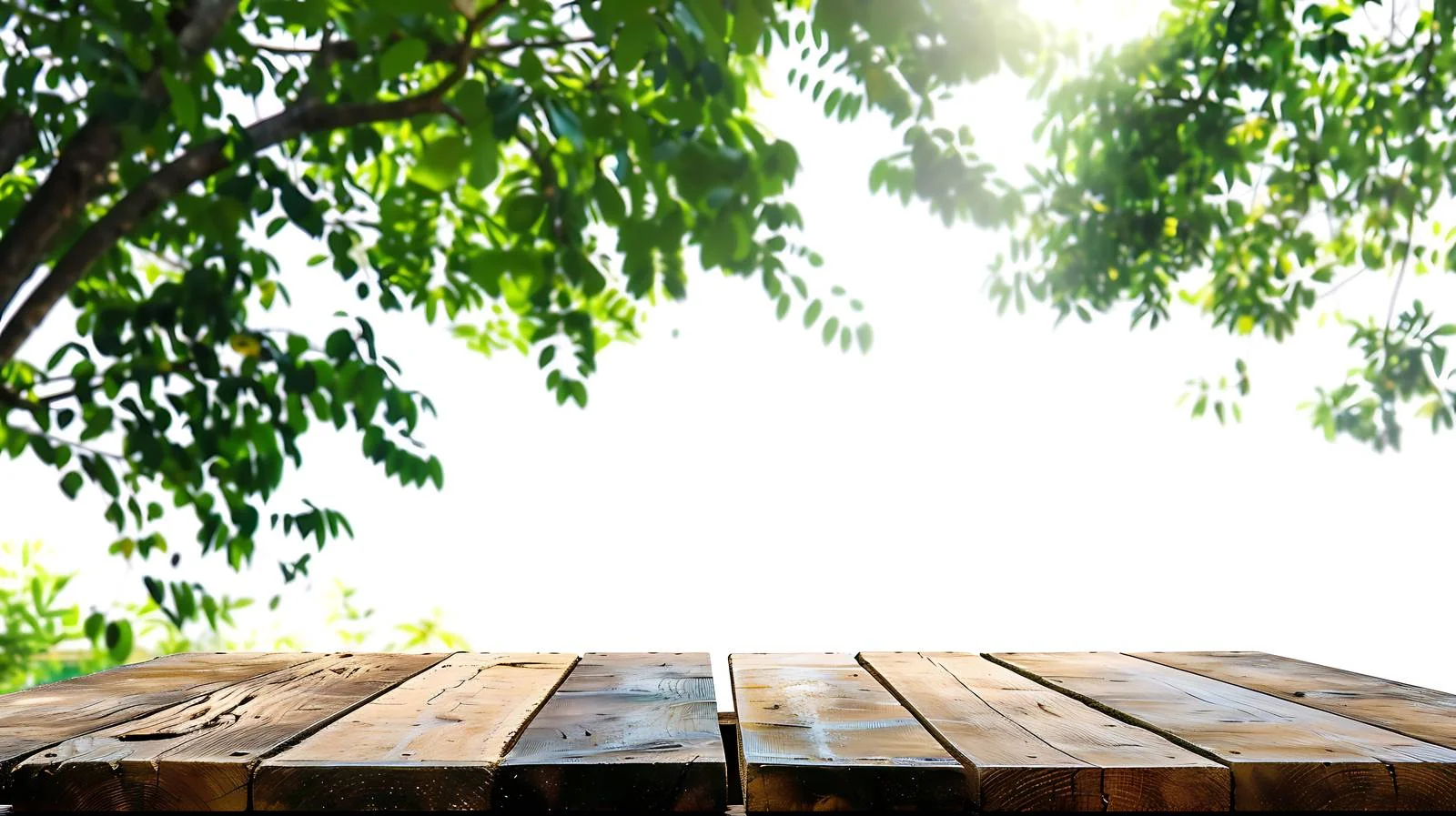 Rustic Wooden Table Amid Lush Greenery — free download from Dotvec