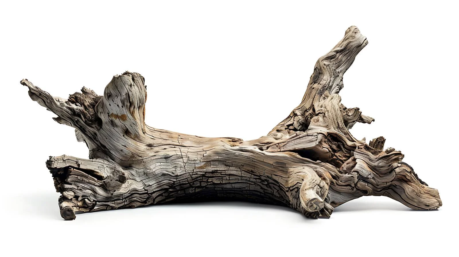 Isolated White Tree Trunk Display Stand — free download from Dotvec