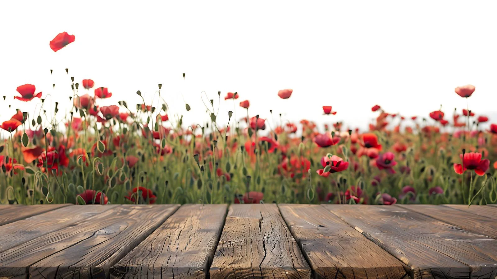 Rustic Wooden Table Amid Poppy Field — free download from Dotvec