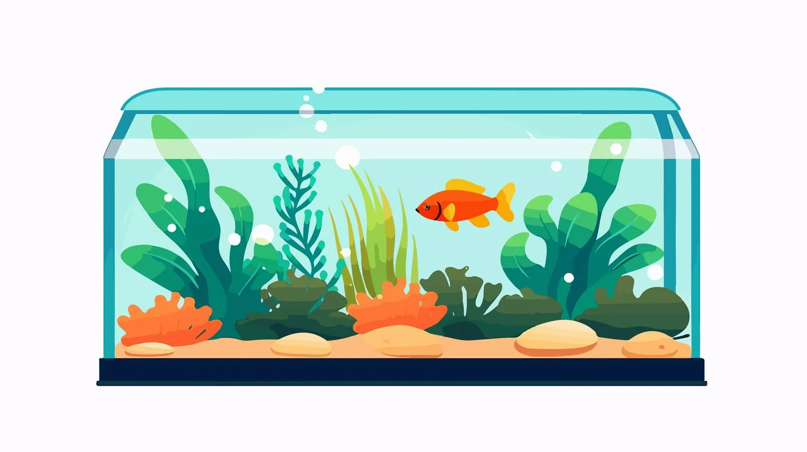 Empty Aquarium Design — free download from Dotvec