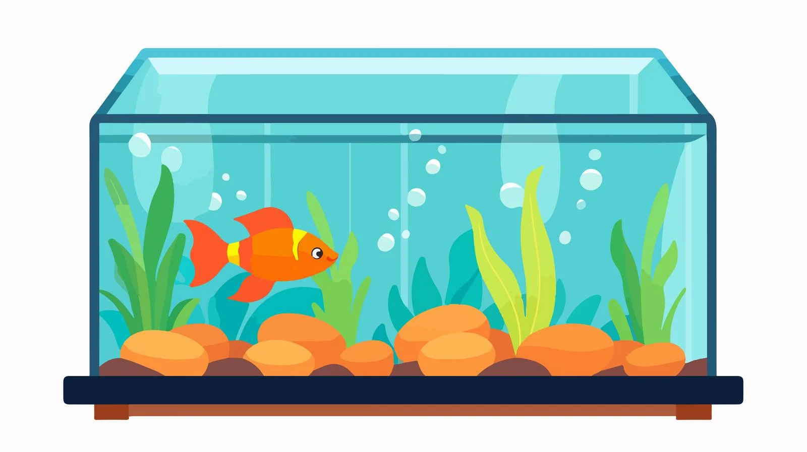 Empty Aquarium Flat Design Style Image — free download from Dotvec
