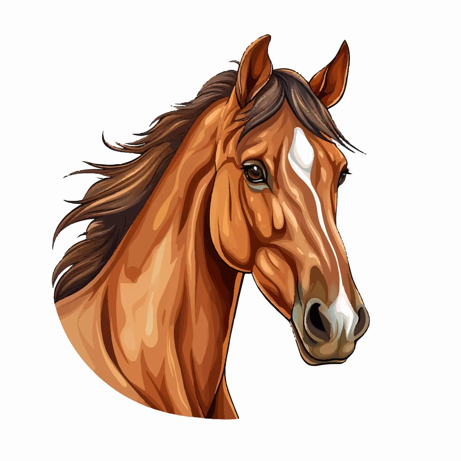 Top View Equine Vector Illustration on White Background — free download from Dotvec