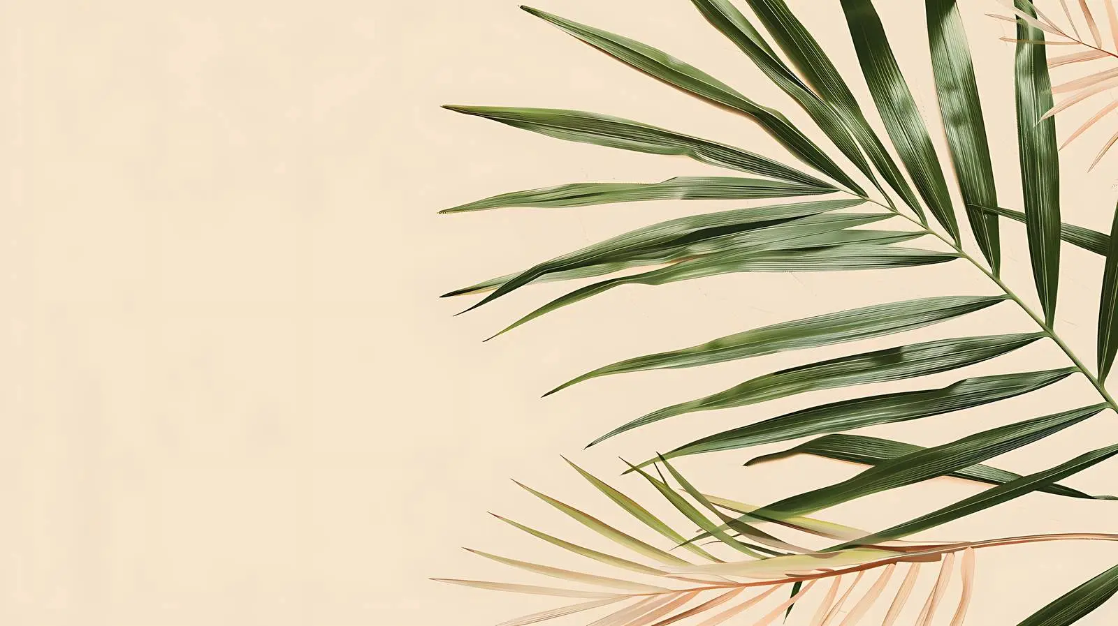 Tropical Palm Branches on Pale Beige Background – free tropical vibe image from Dotvec