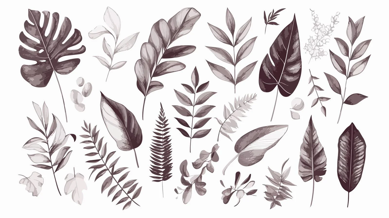 Exotic Hand-Drawn Plant Leaves Collection — free download from Dotvec