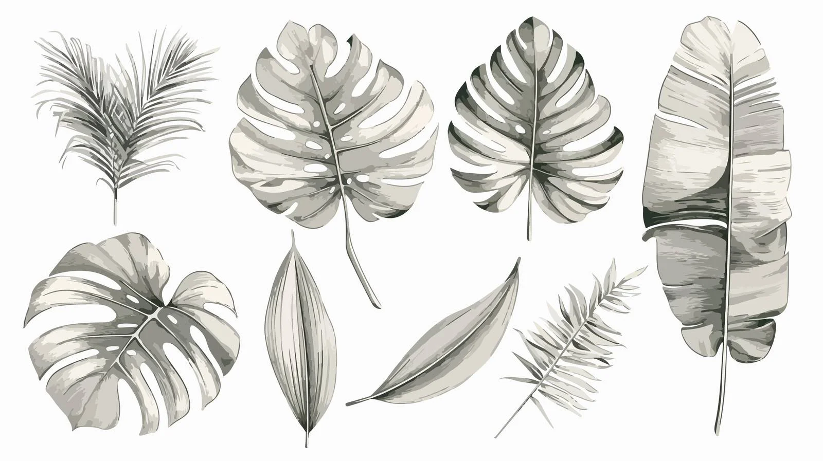 Exquisite Hand-Drawn Exotic Plant Foliage Collection — free download from Dotvec