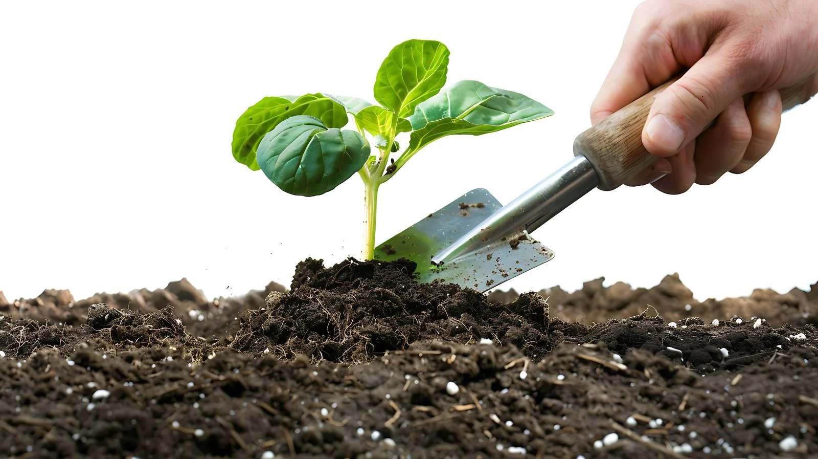 Soil Preparation for Planting — free download from Dotvec