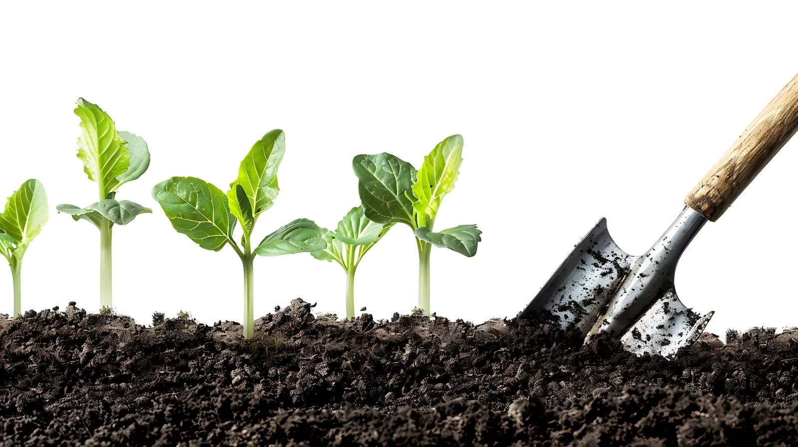 Soil Preparation for Planting — free download from Dotvec