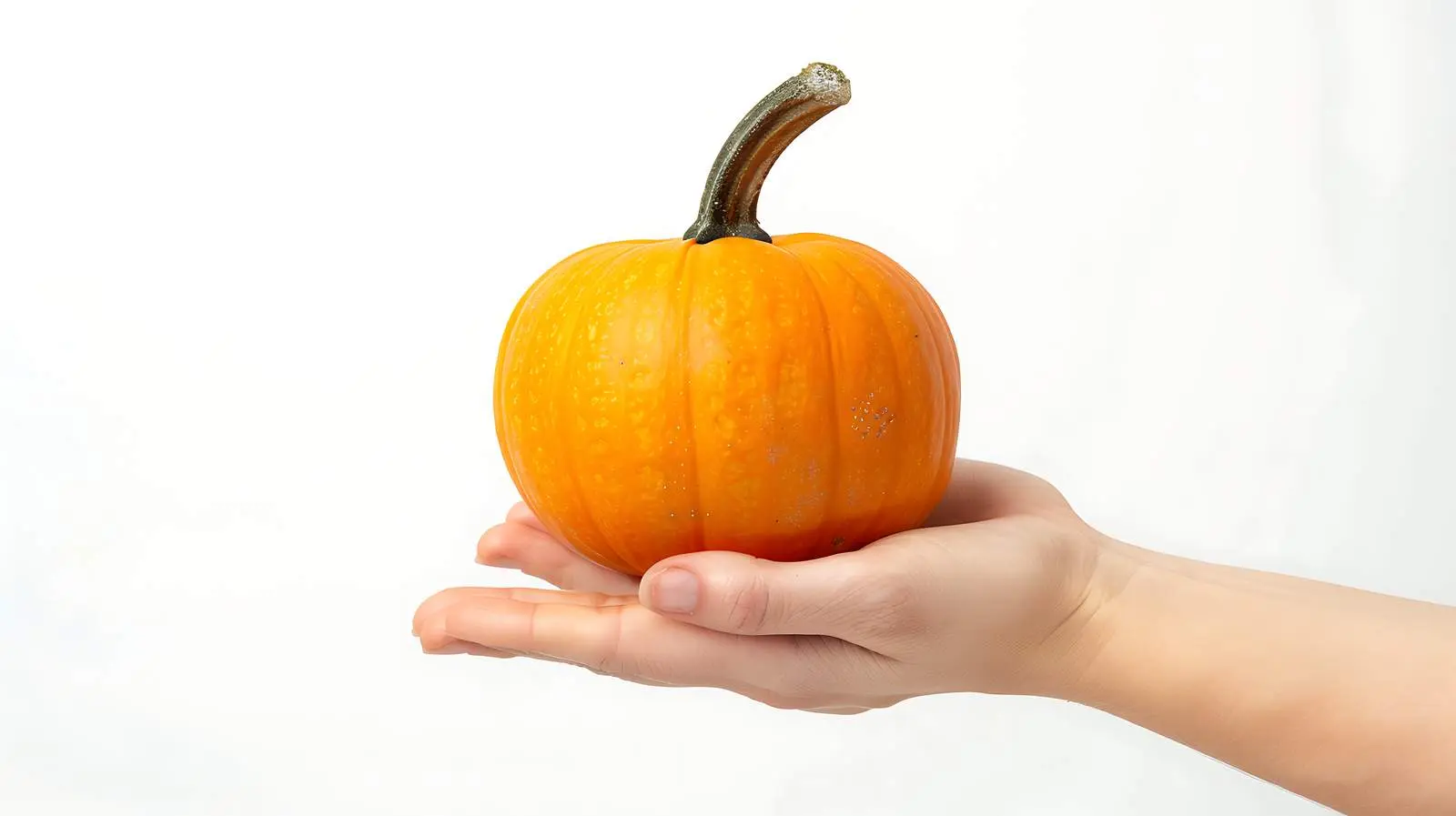 Woman Holding Pumpkin in Autumn Scenery – free autumn vibes image from Dotvec