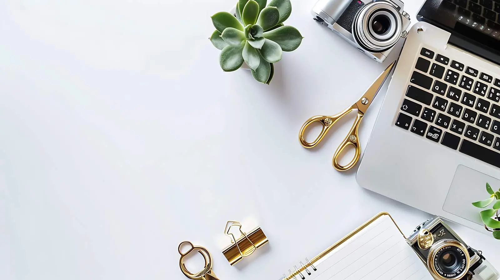 Feminine Desk Workspace with Succulent and Laptop – free retro image from Dotvec