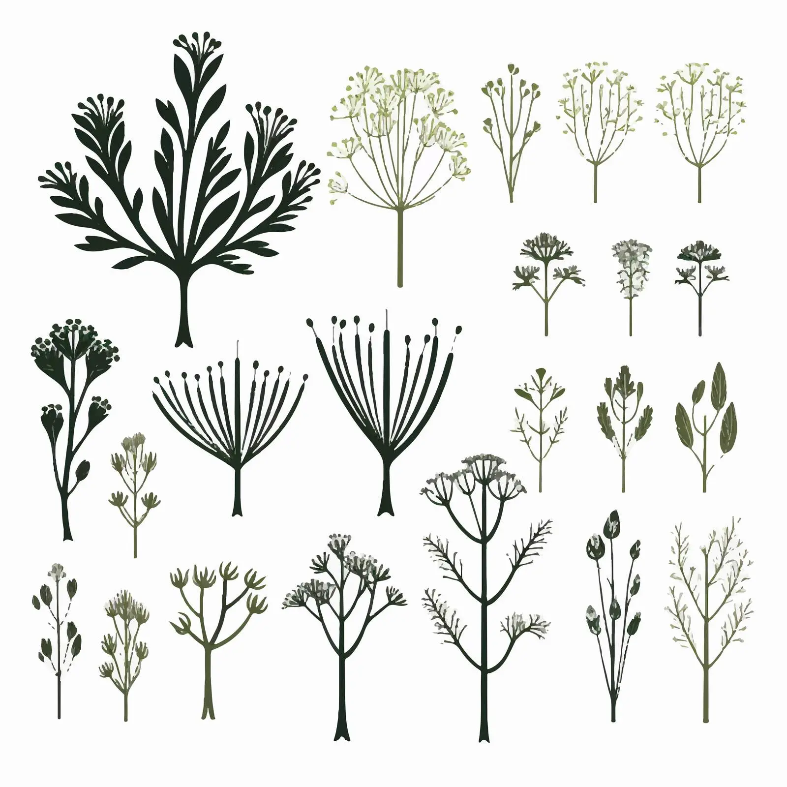 Scandinavian Style Fennel Silhouettes on White — free download from Dotvec