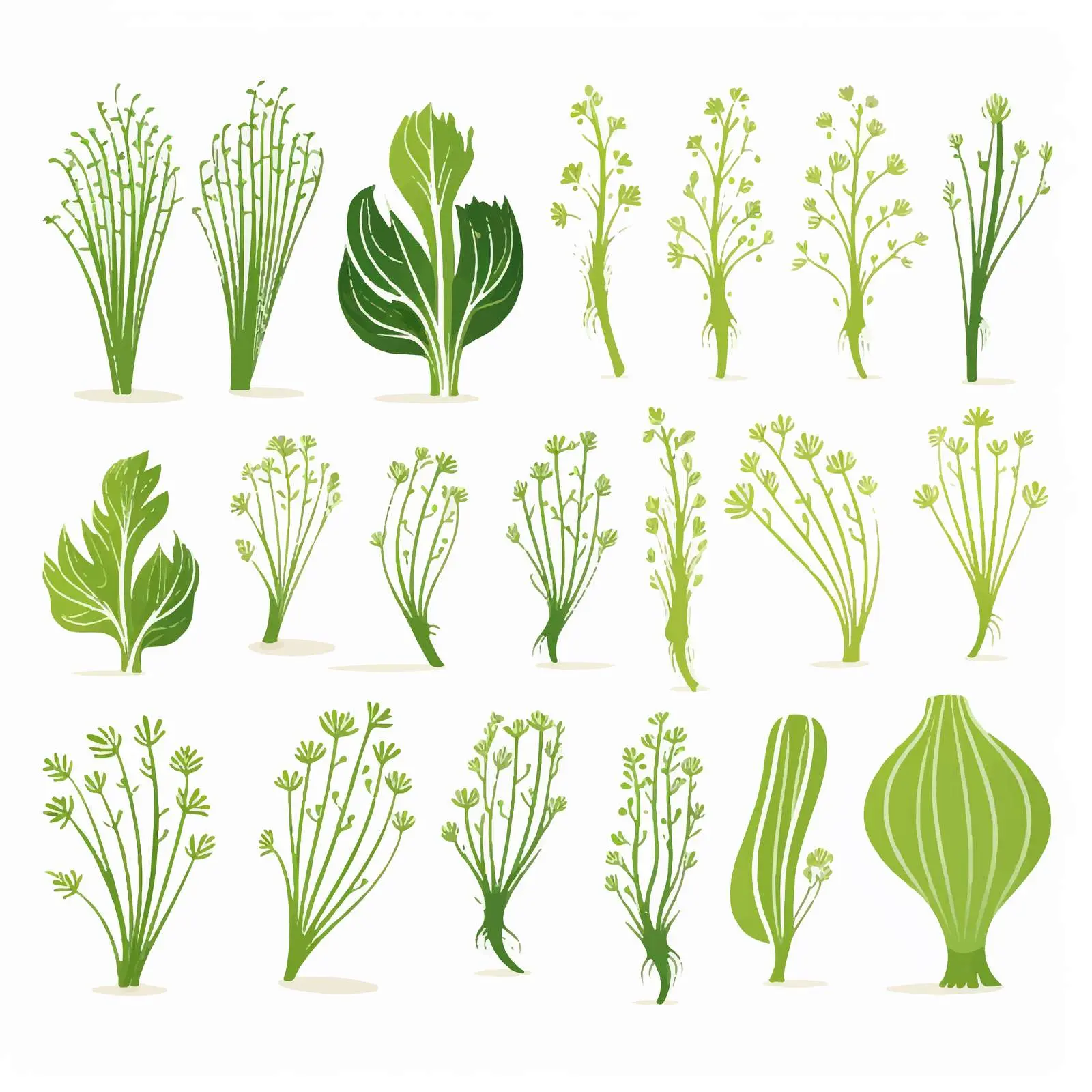 Scandinavian Fennel Silhouettes Vector Set – free outlines image from Dotvec