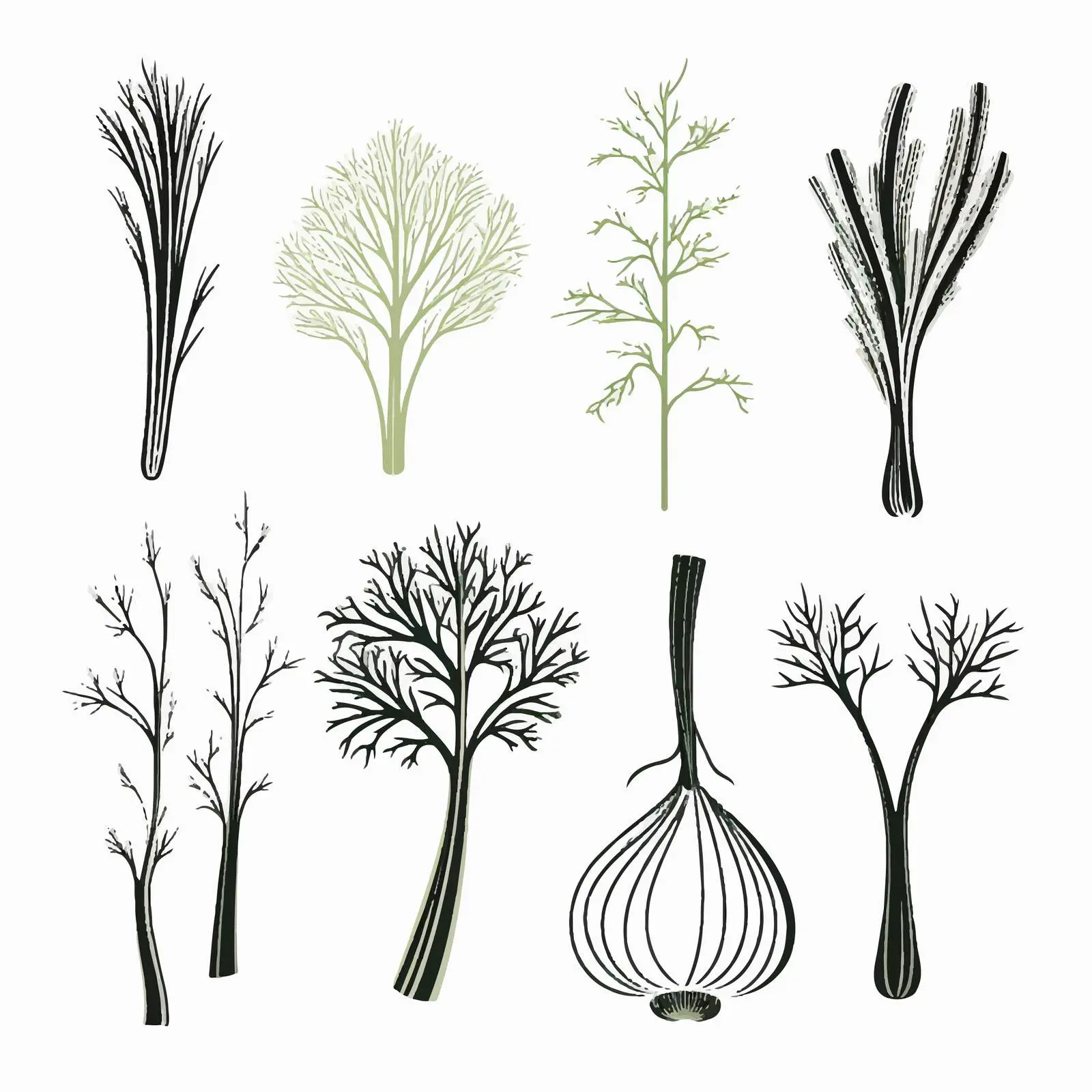 Scandinavian Style Fennel Silhouettes on White — free download from Dotvec