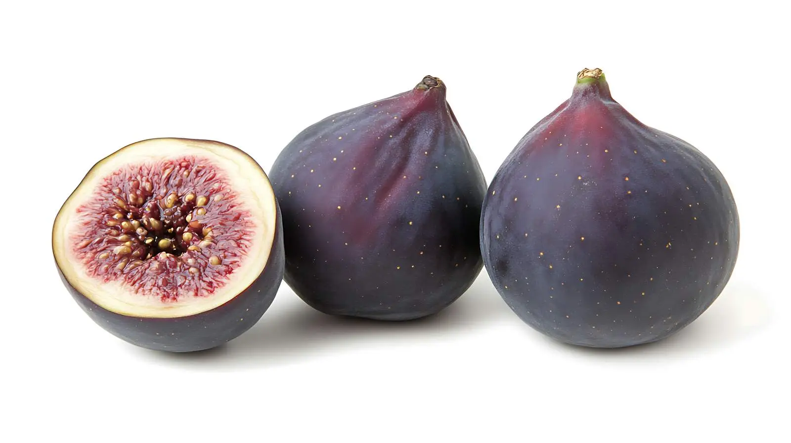 High-Quality Isolated Fig on White Background — free download from Dotvec