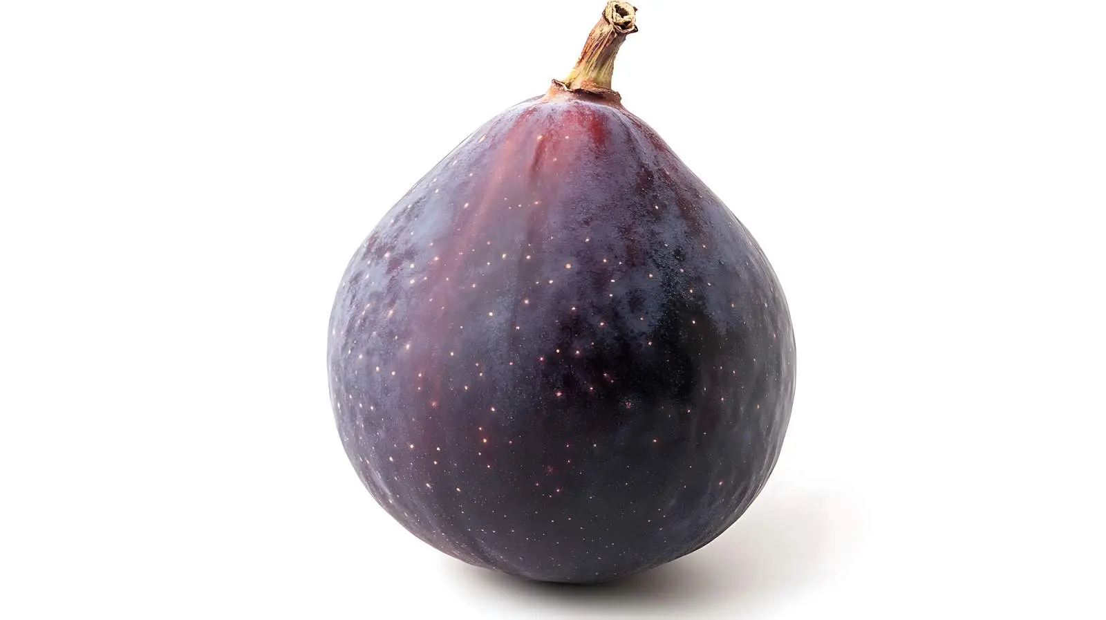 High-Quality Fig on White Background — free download from Dotvec