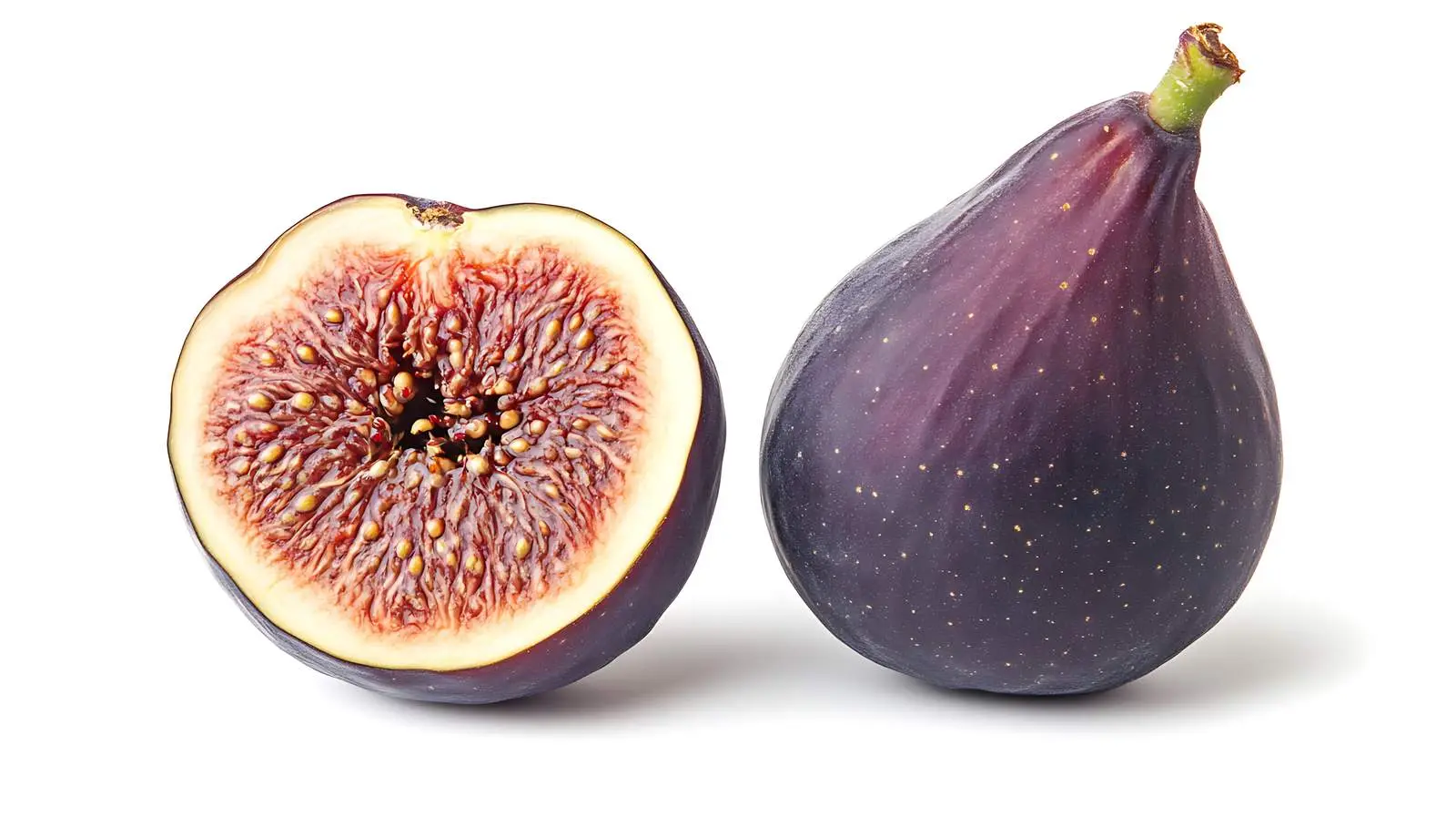 High-Quality Fig on White Background — free download from Dotvec
