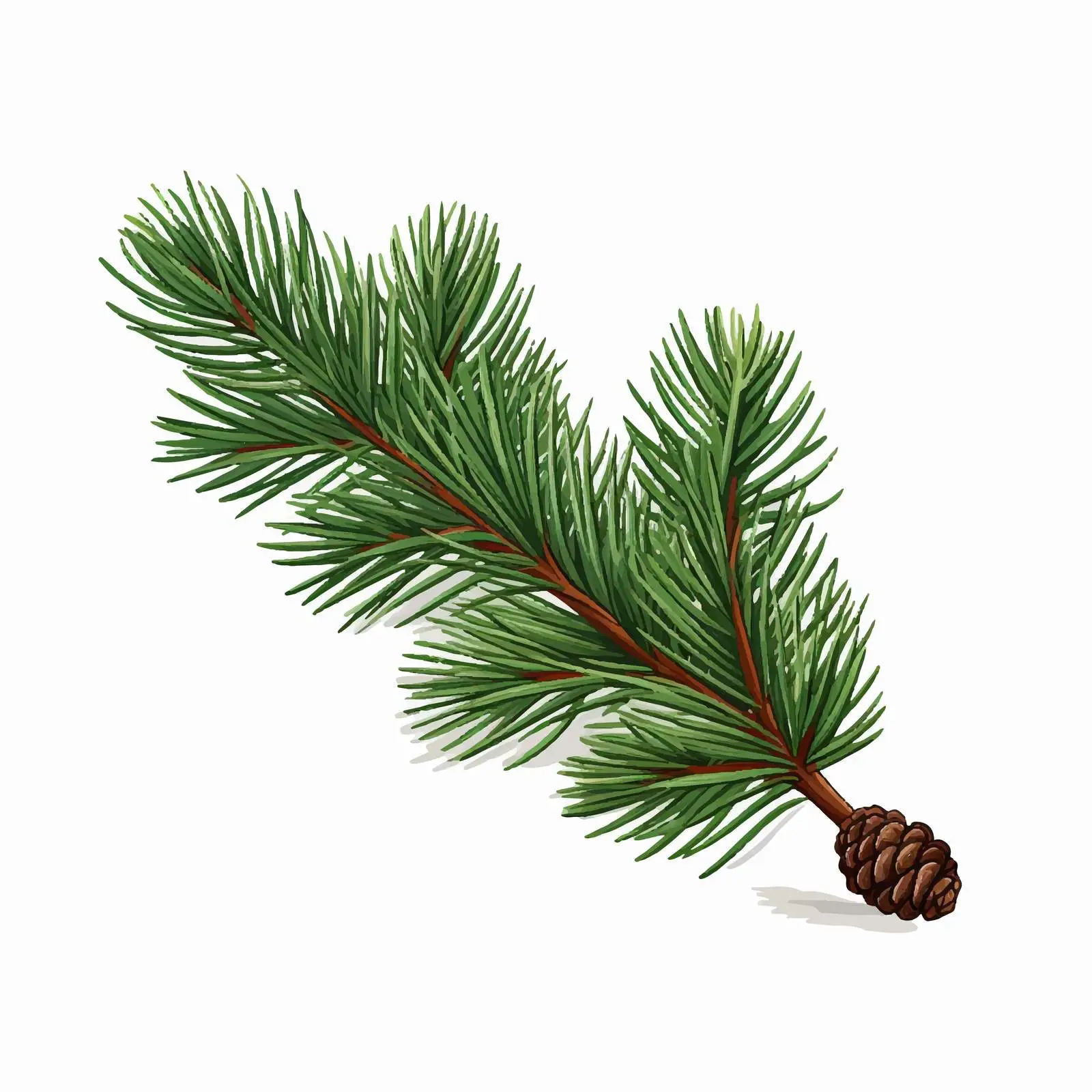 Evergreen Fir Tree Branch with Green Needles — free download from Dotvec