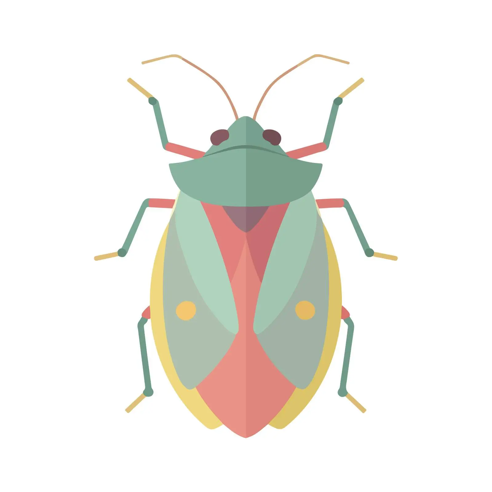 Minimalist 2D Bug Icon Design — free download from Dotvec
