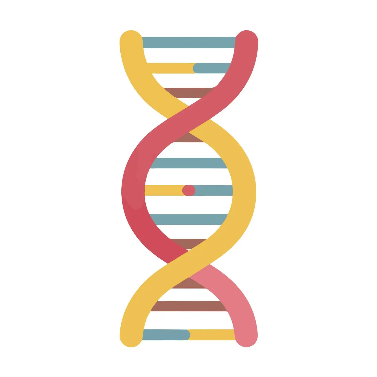 Minimalist DNA Strand Icon – free strand image from Dotvec