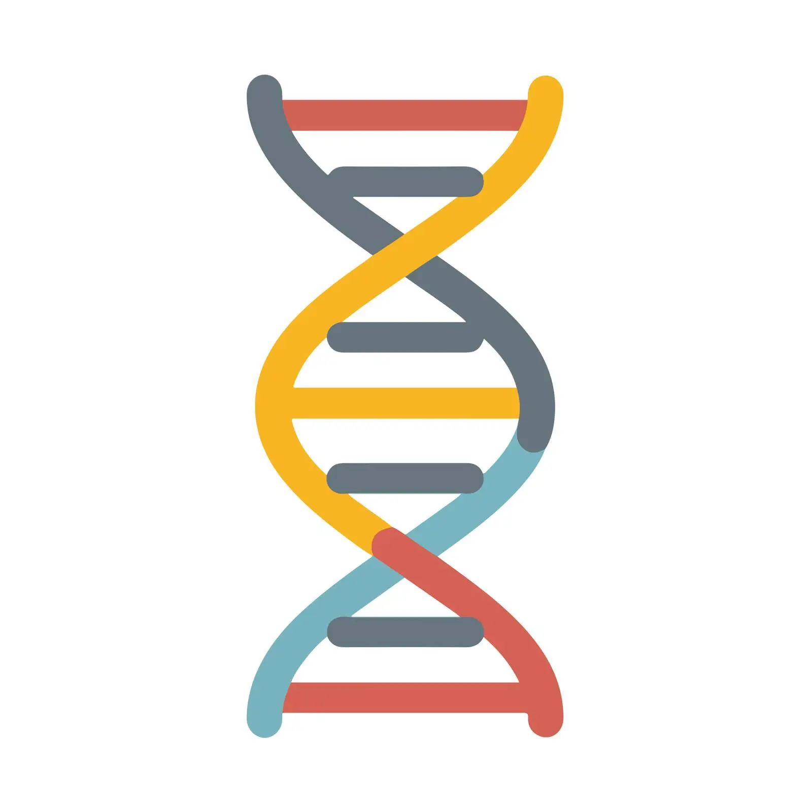 DNA Strand Icon — free download from Dotvec
