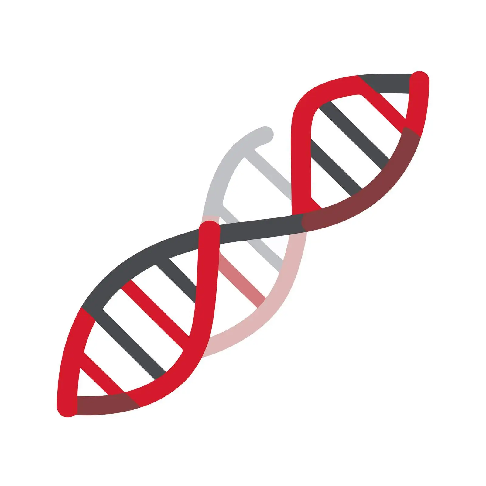 DNA Strand Icon — free download from Dotvec