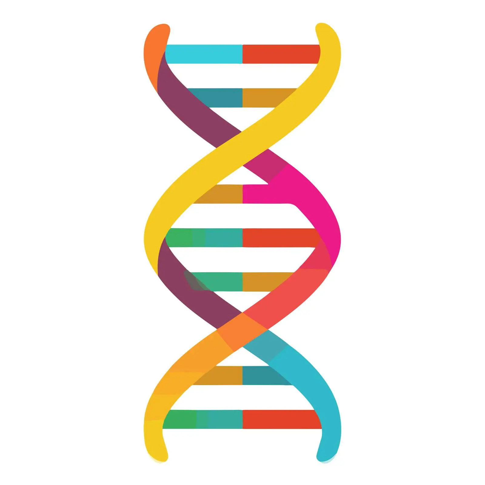 DNA Strand Icon – free dna image from Dotvec