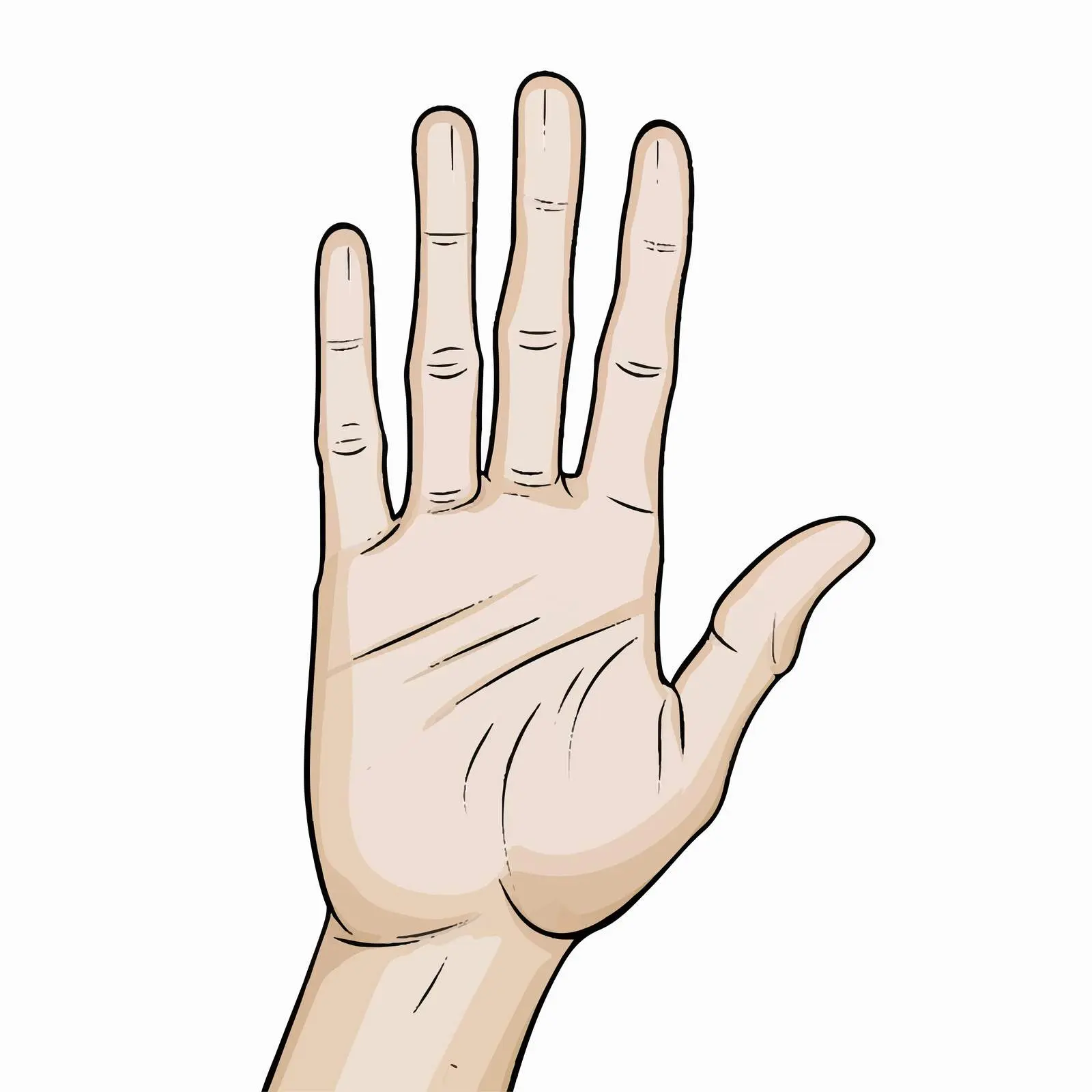 Flat Hand Line Vector Illustration on White Background — free download from Dotvec