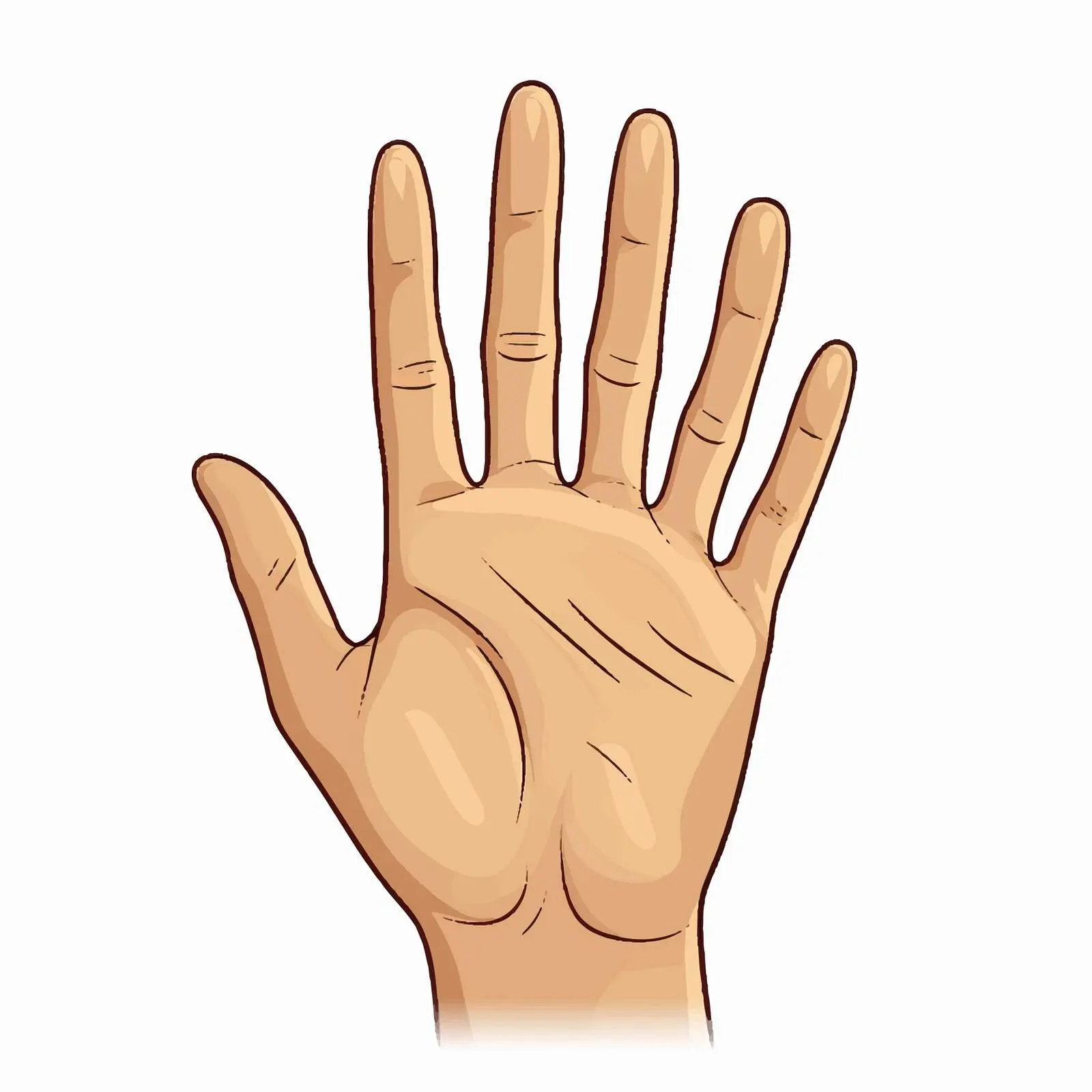 Flat Hand Vector Illustration on White Background — free download from Dotvec