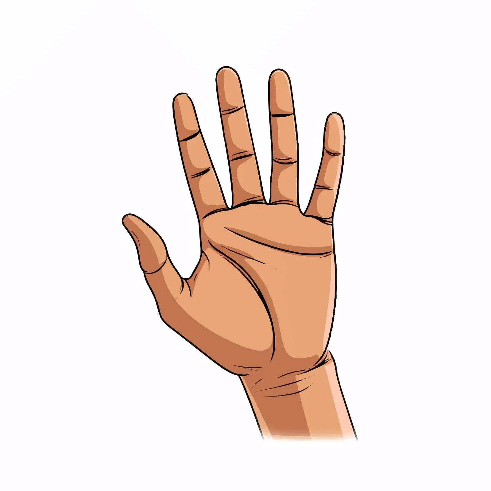 Flat Hand Vector Illustration on White Background — free download from Dotvec