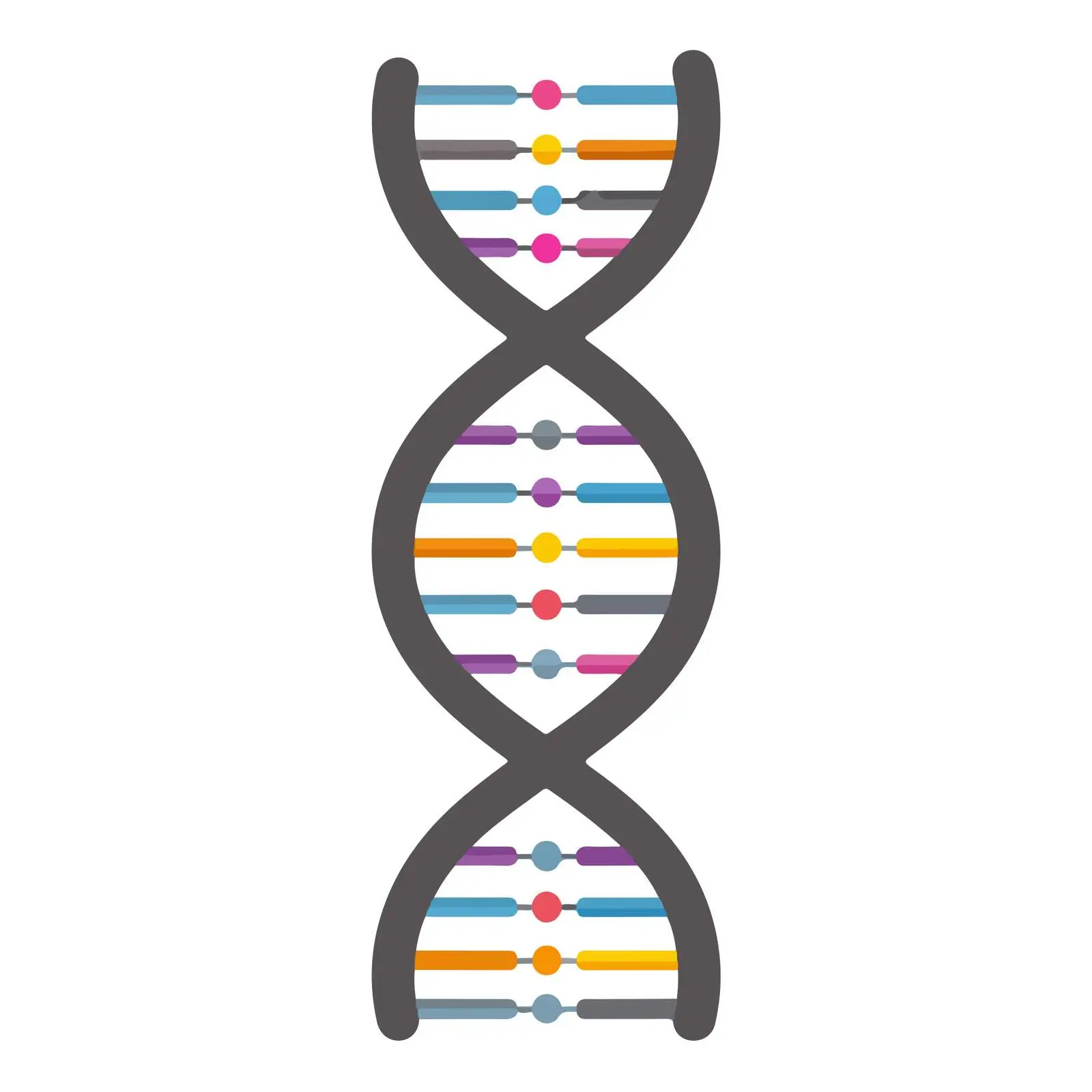 DNA Helix Vector Icon — free download from Dotvec