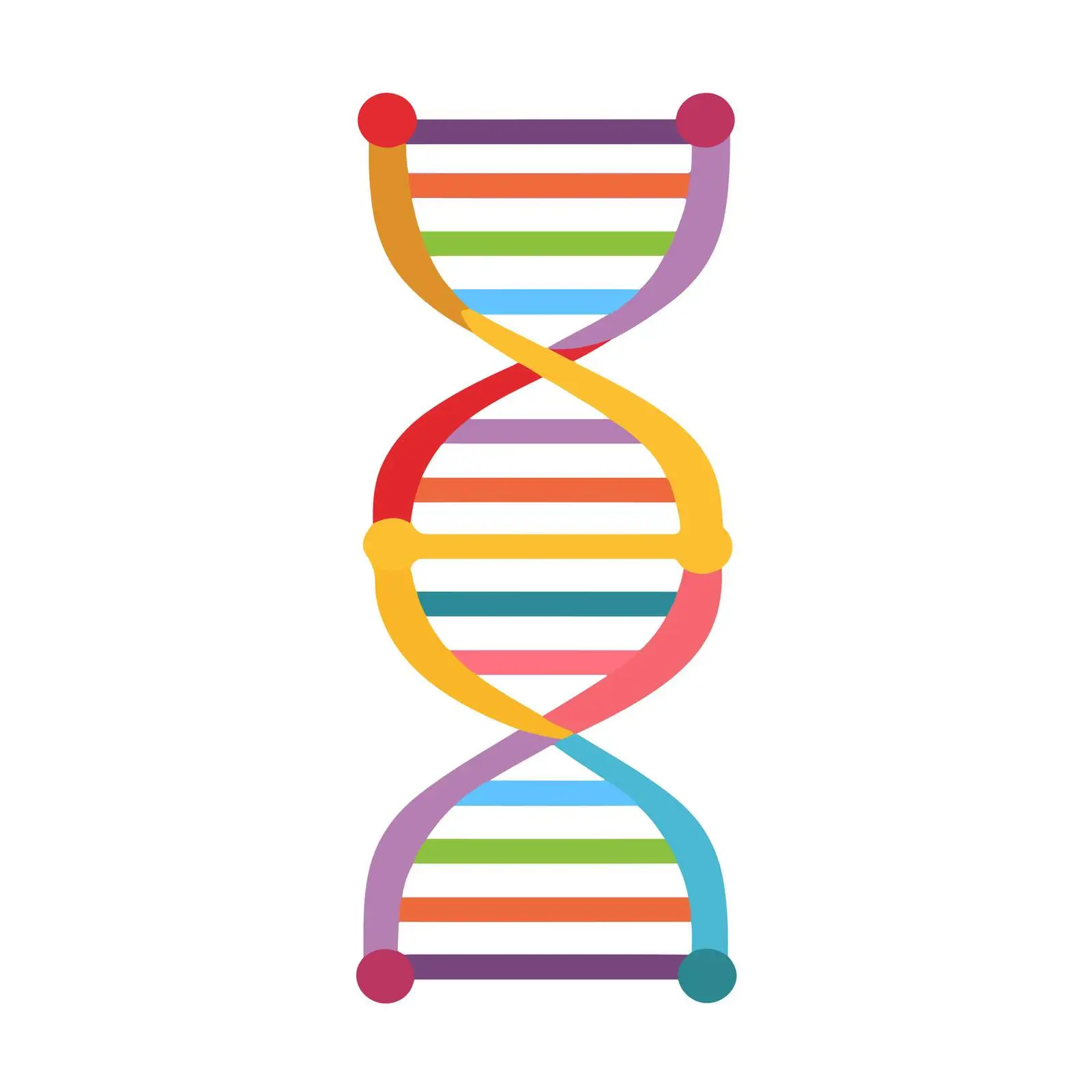 DNA Helix Icon — free download from Dotvec