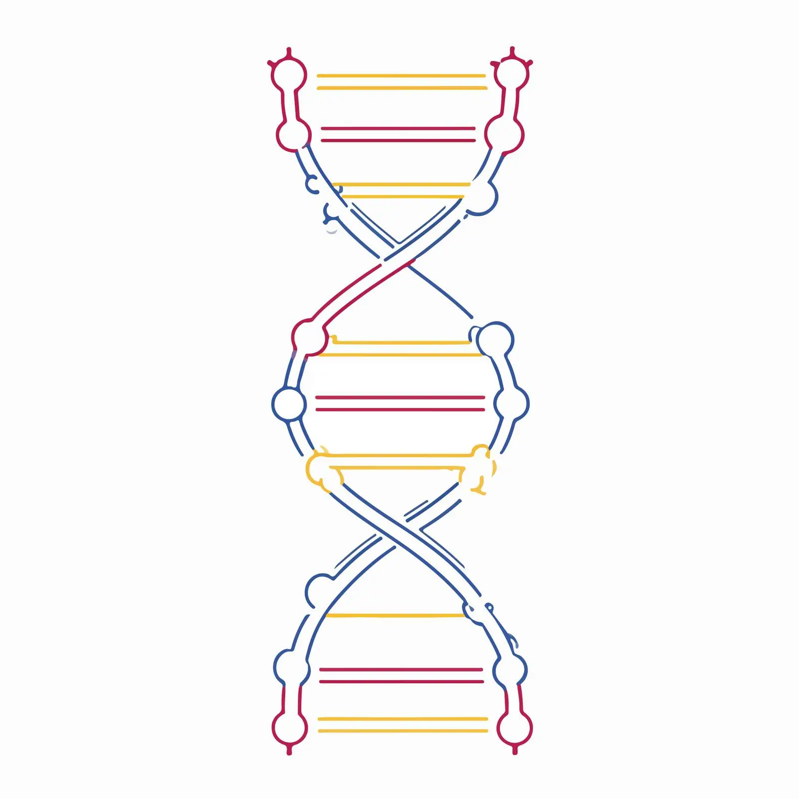DNA Strand Icon — free download from Dotvec