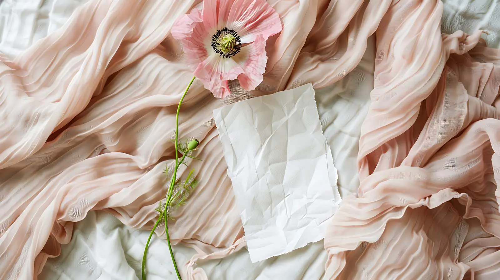 Flatlay of Pink Poppy Flower on Crumpled Paper – free pose image from Dotvec