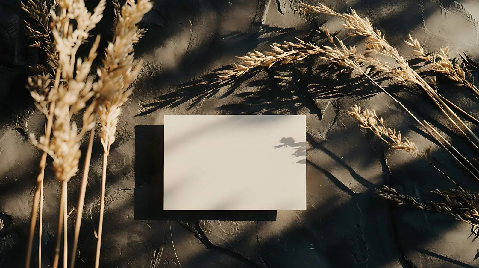 Flatlay of Blank Business Paper Cards on Table – free paper card image from Dotvec