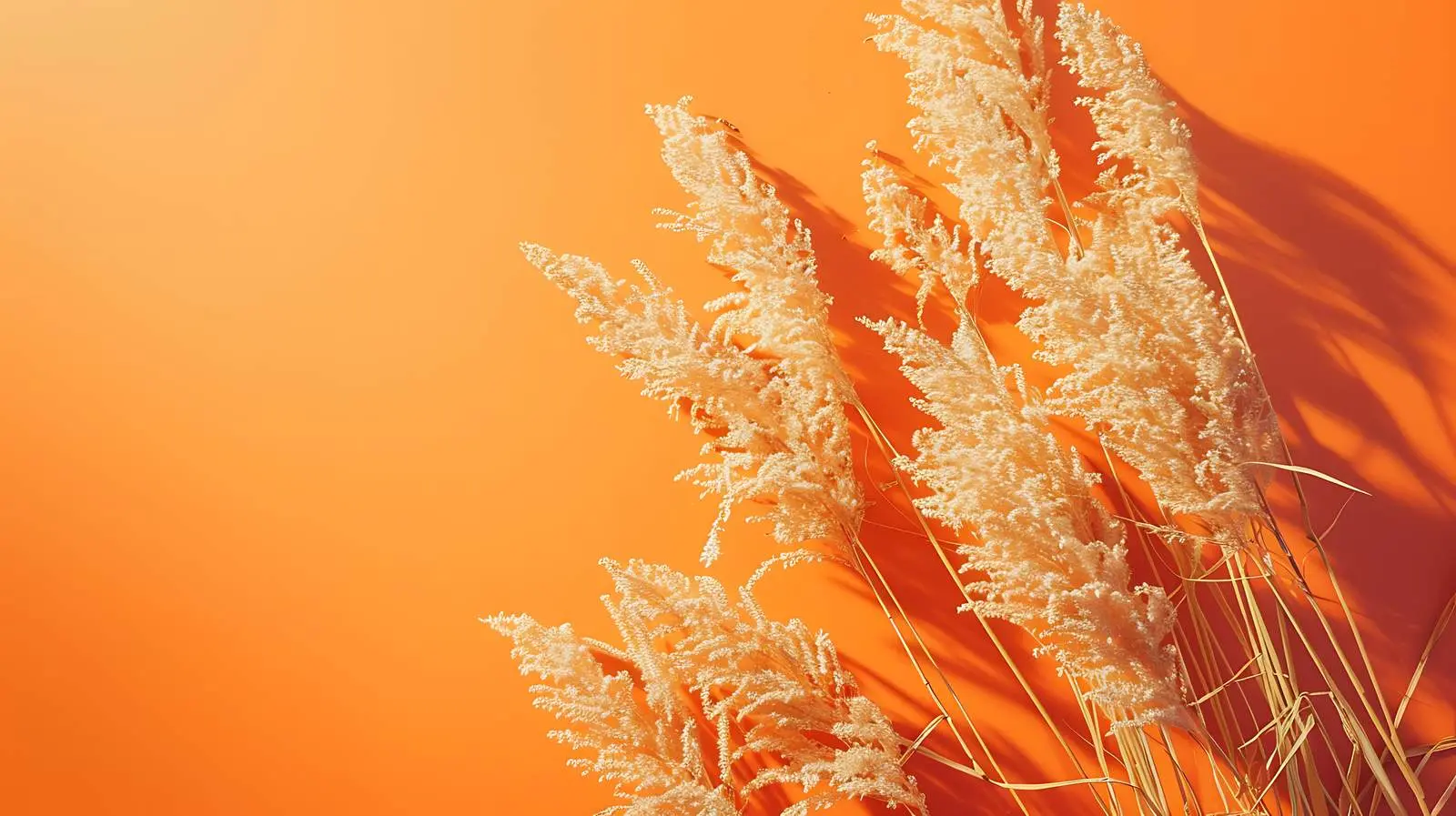 Dry Grass on Crimson Background Flatlay – free abstract image from Dotvec