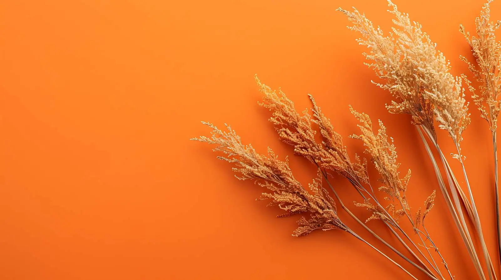Dry Grass Flatlay on Crimson Background – free abstract image from Dotvec
