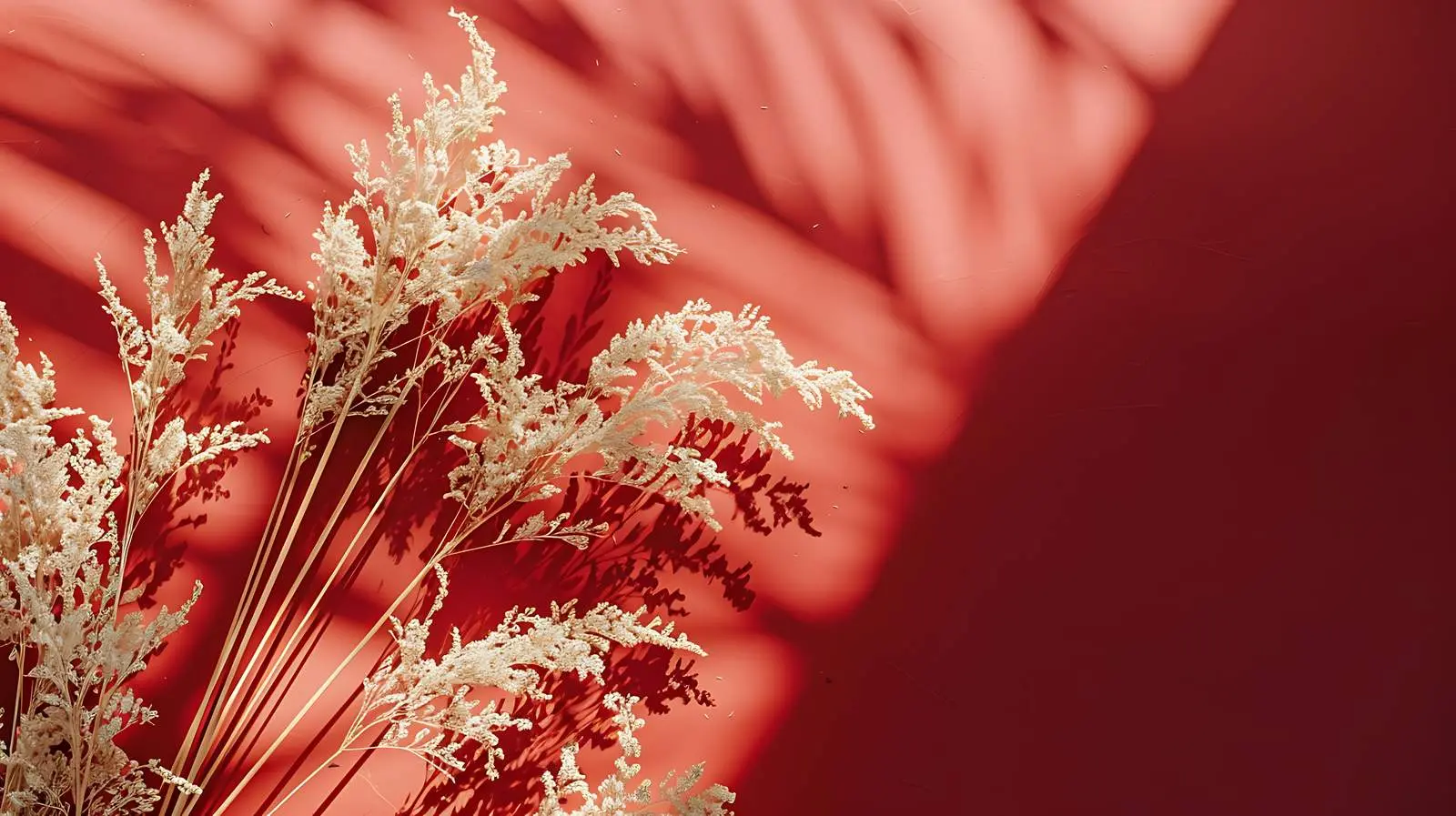Dry Grass Flatlay on Vibrant Orange Background – free abstract image from Dotvec