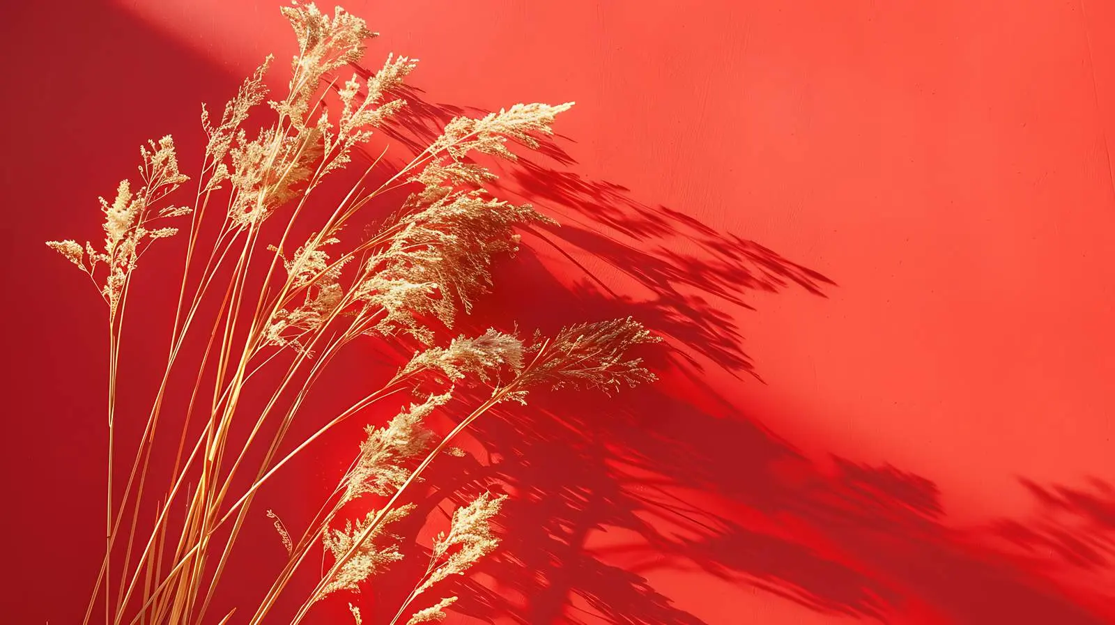 Dry Grass Flatlay on Red Background – free abstract image from Dotvec