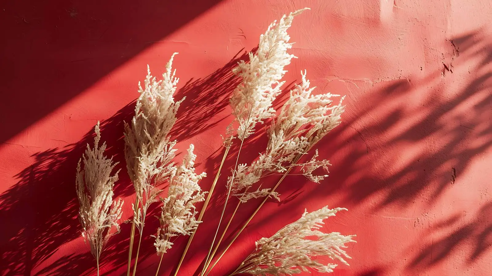 Dry Grass Flatlay on Soft Red Background – free prints image from Dotvec