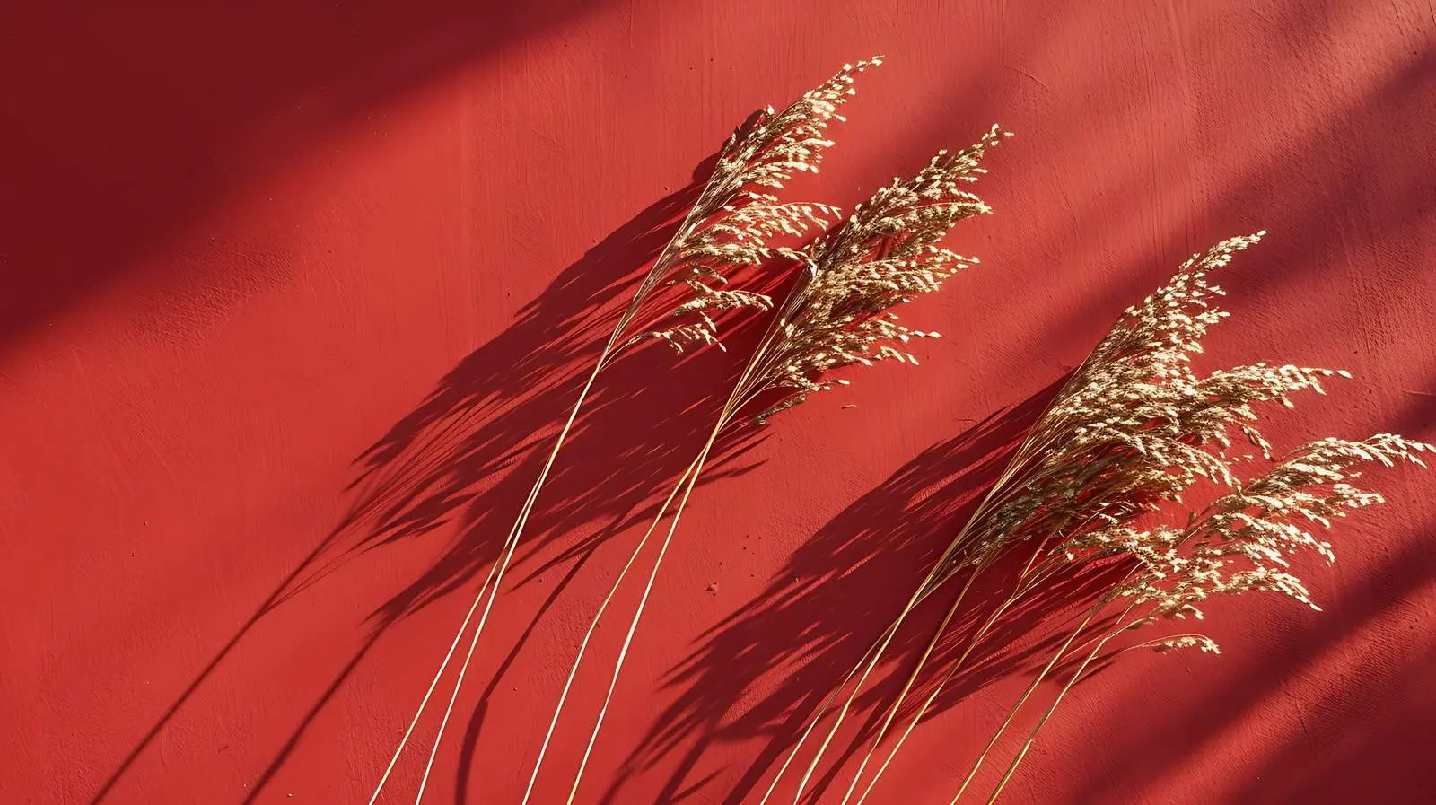 Dry Grass Flatlay on Red Background – free face image from Dotvec