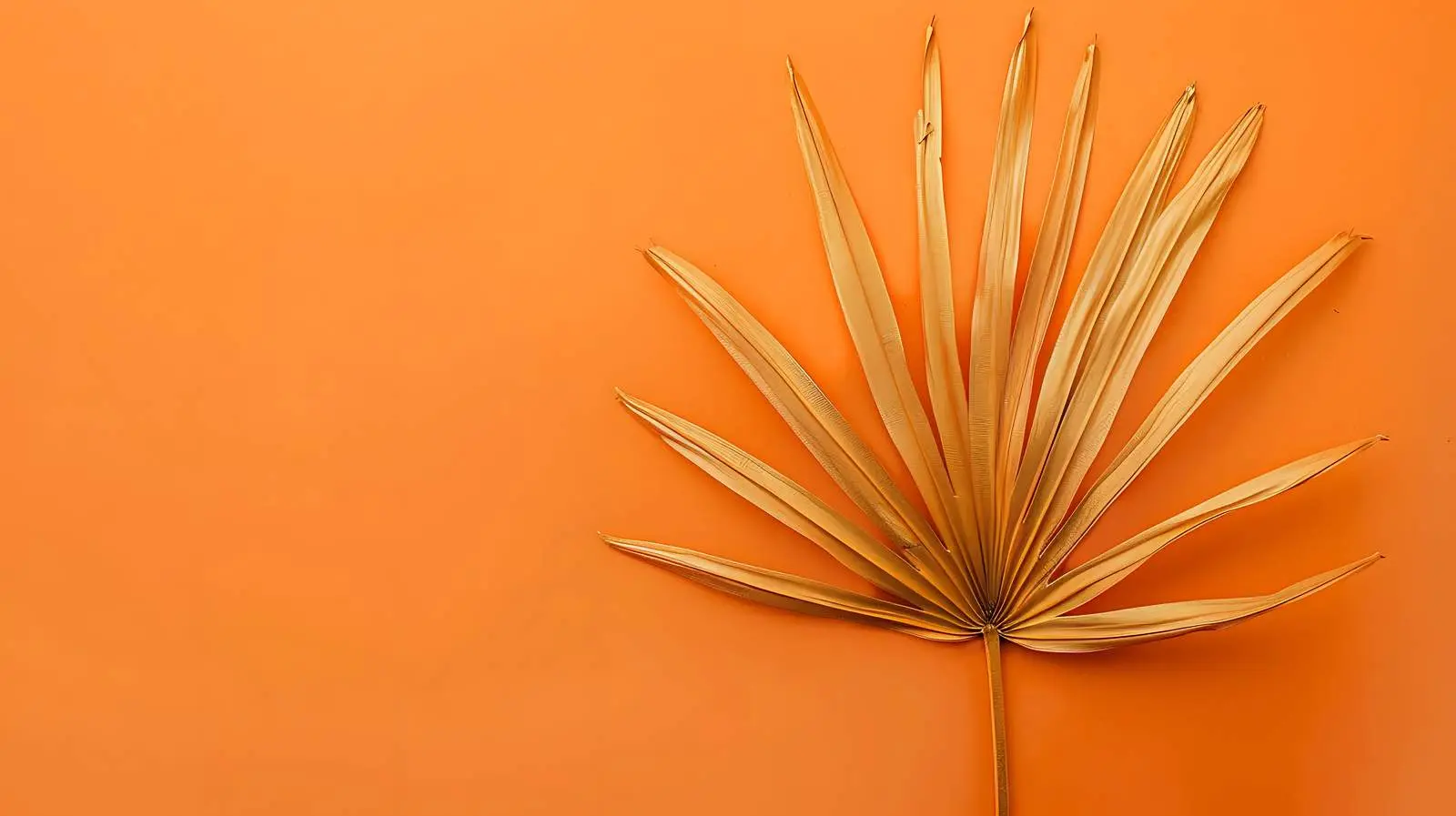 Dry Palm Leaf Minimalist Flatlay on Orange Background — free download from Dotvec