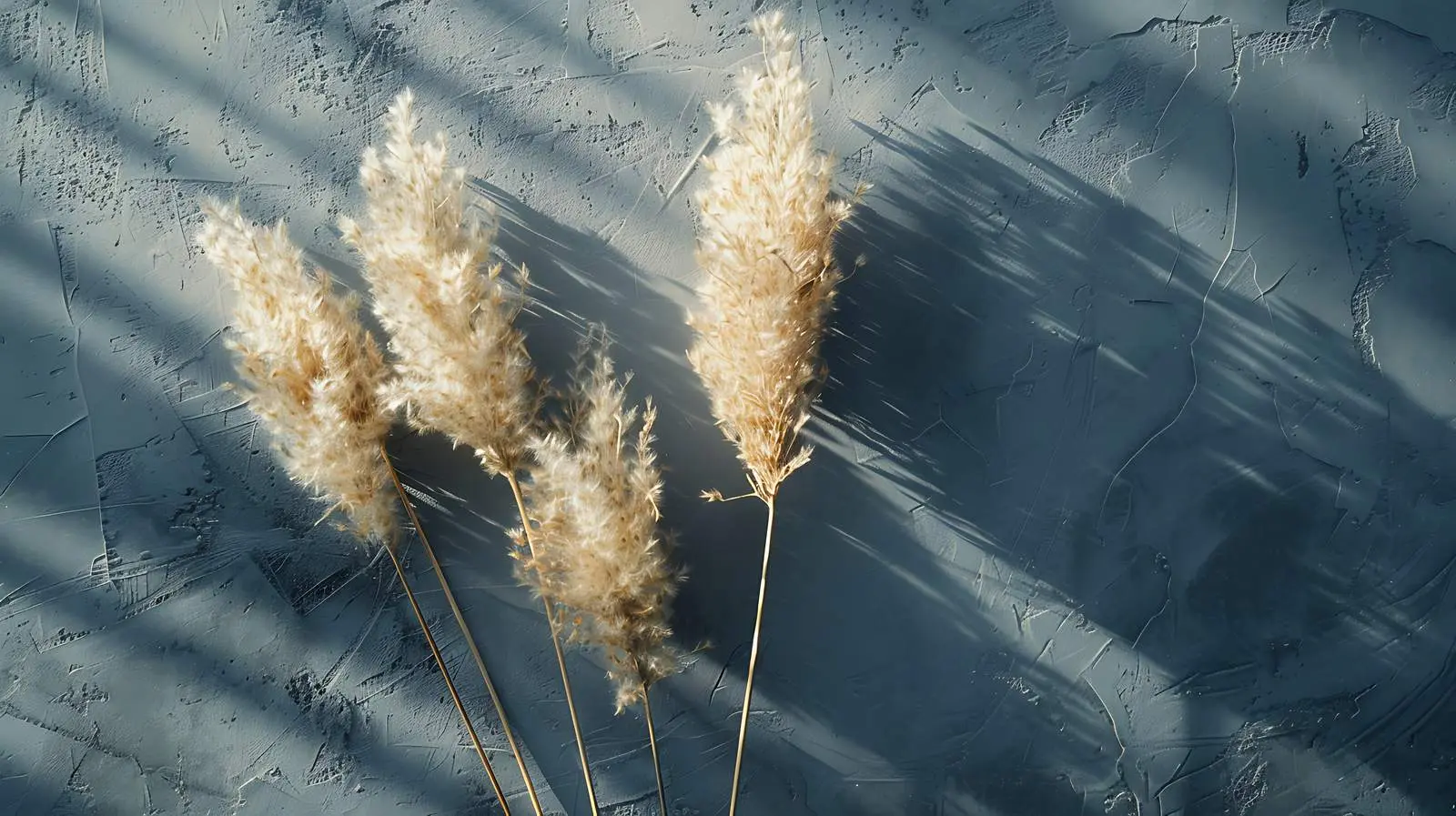 Dry Pampas Grass Stem Flatlay on Dark Grey Background – free sign in image from Dotvec