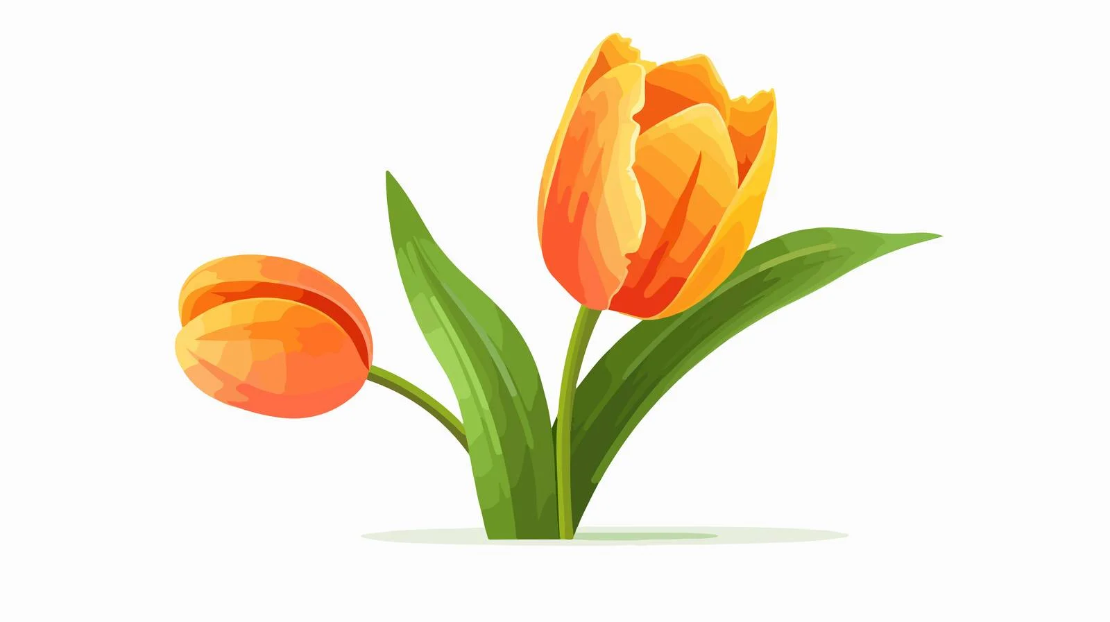 Elegant Tulip Flower Illustration — free download from Dotvec