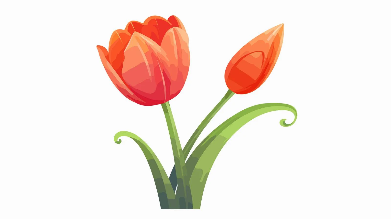 Vibrant Tulip Flower Illustration — free download from Dotvec