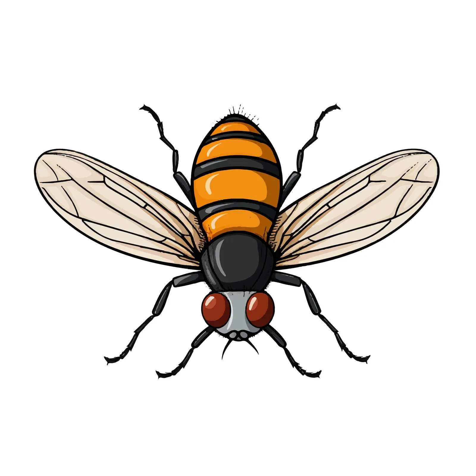 Cartoon Fly Vector Illustration on White Background — free download from Dotvec