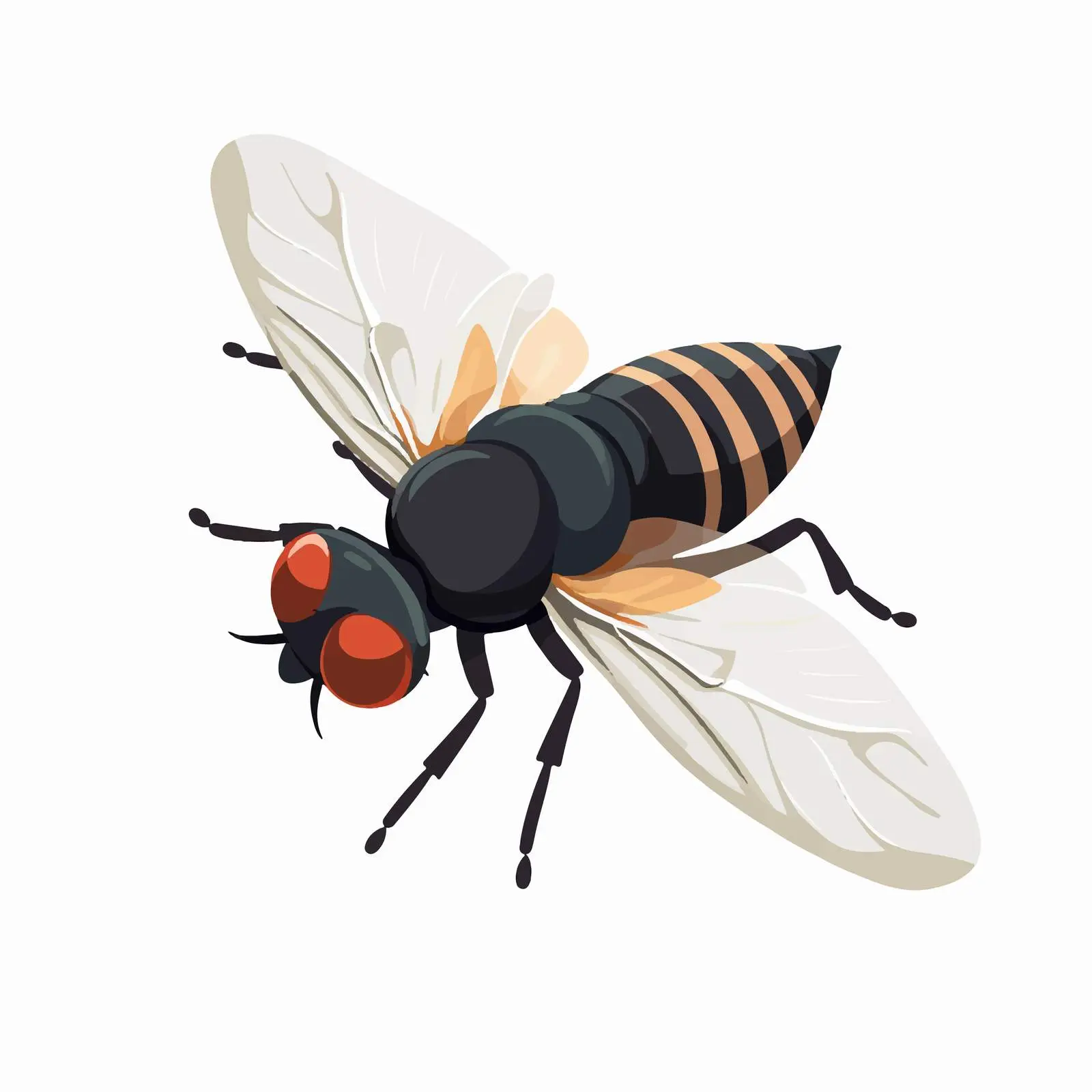 Cartoon Fly Vector Illustration on White Background — free download from Dotvec